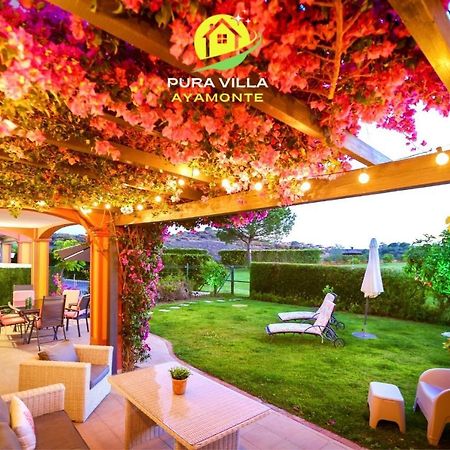 Pura Villa- Buganvillas איאמונטה מראה חיצוני תמונה